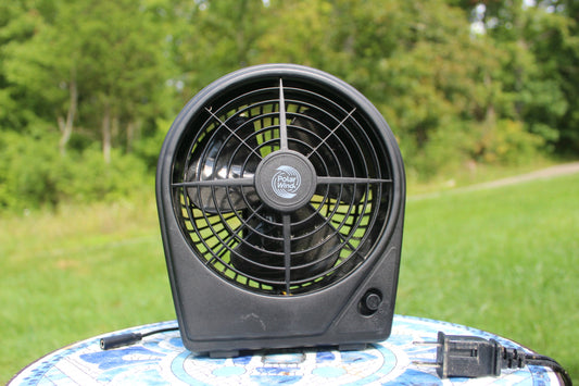 Fan operated by switch